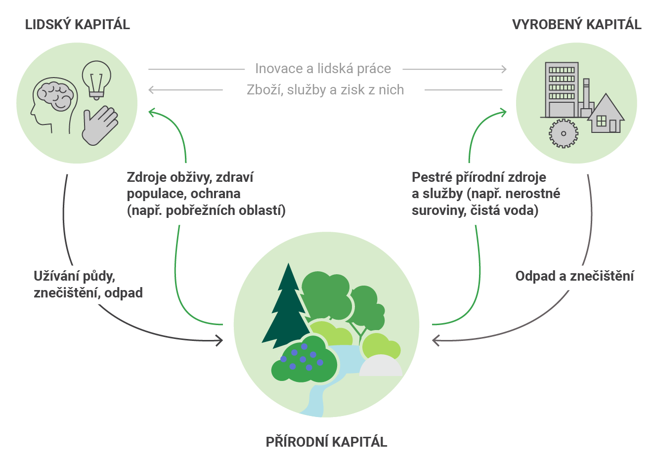 Schéma tří druhů kapitálu: lidského, vyrobeného a přírodního