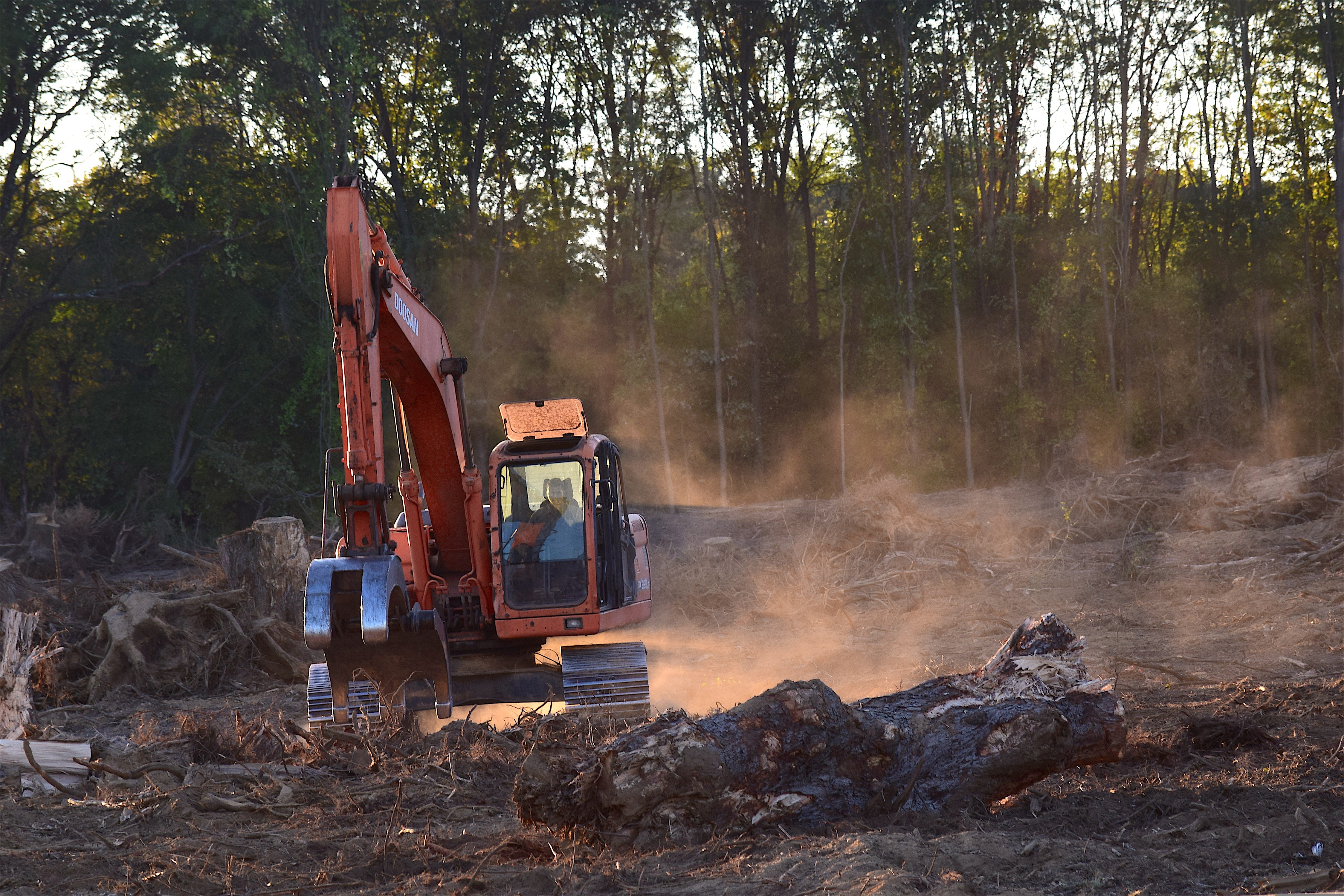 Fotografie lesnického stroje při těžbě lesa