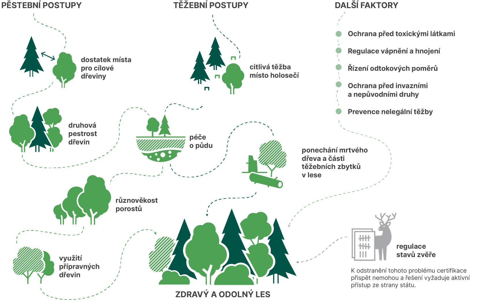 Schéma principů v lesním hospodaření, které podporují zdraví a odolnost lesa
